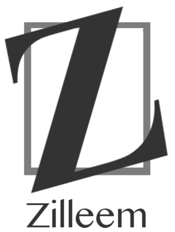 Zilleem Logo Transparent