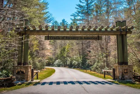 Photo of the entrance to the cradle of forestry