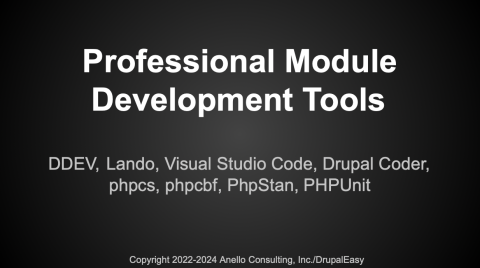 Professional Module Development Tools title slide.