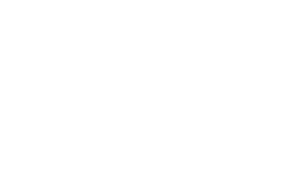 Drupal Camp Asheville 2021 10th Anniversary logo