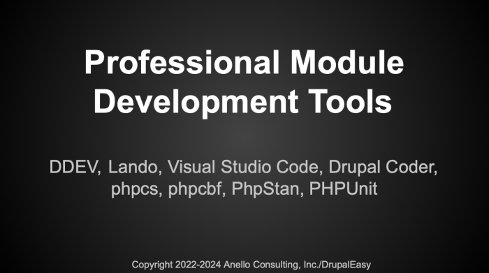 Professional Module Development Tools title slide.