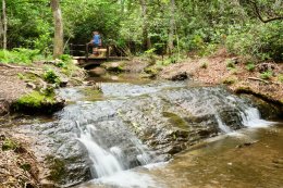 North Carolina Arboretum creek waterfall with bridge