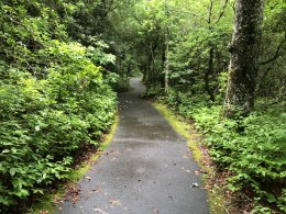 Paved hiking trail at the Cradle of Forestry.